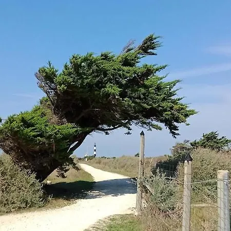On Ile D'oleron Near The
