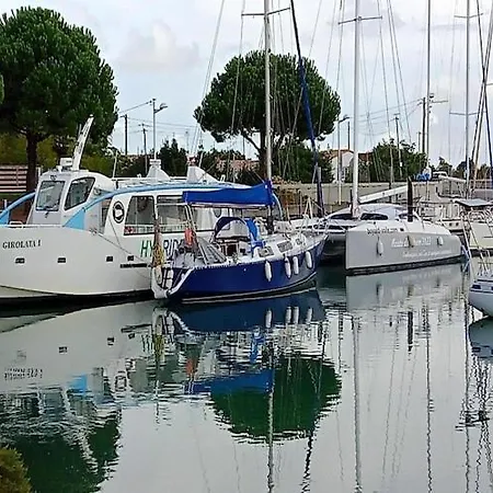 On Ile D'oleron Near The Holiday home *