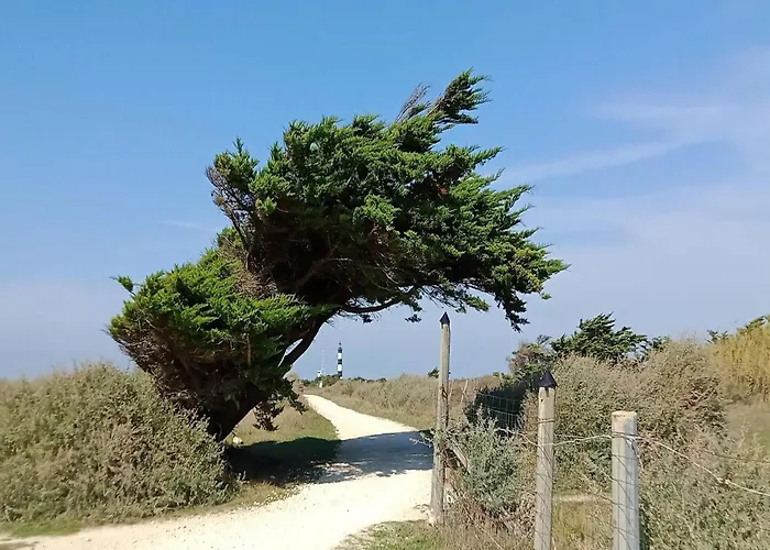 On Ile D'oleron Near The Holiday home Saint-Georges-d'Oleron